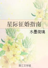 星际征婚指南